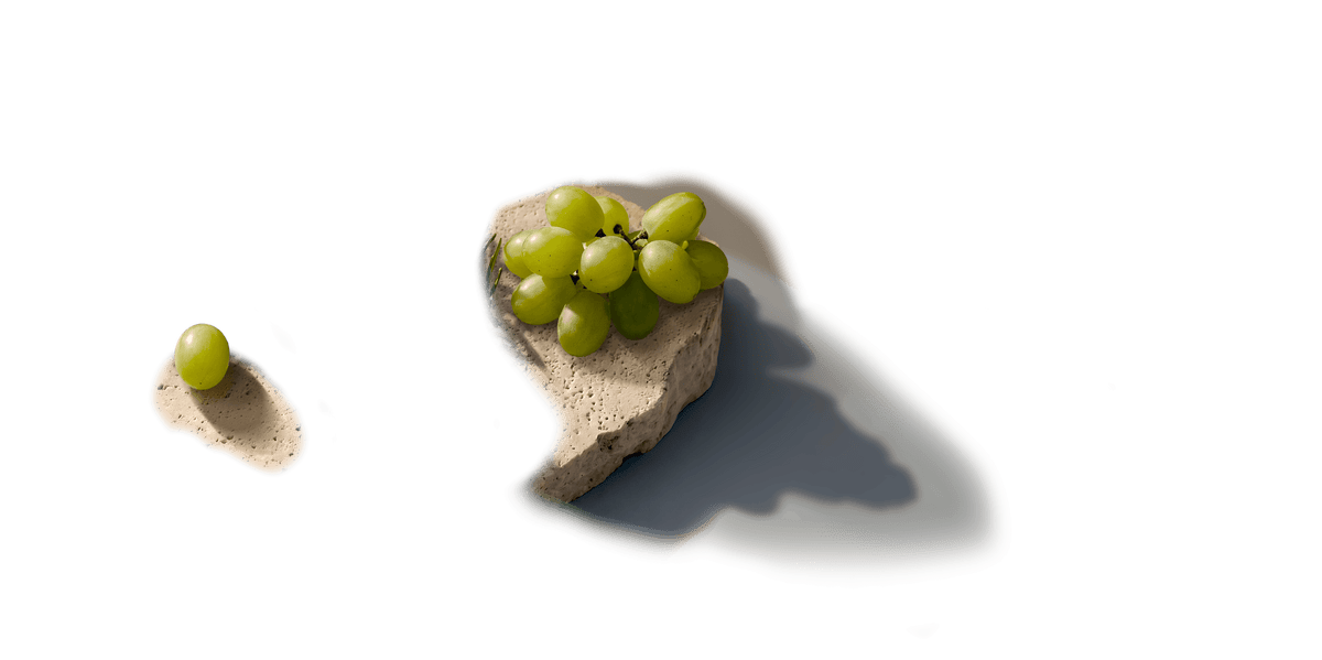 VIN BLANC BIO